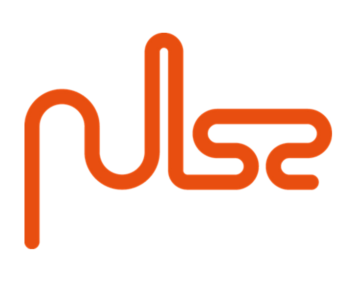 p19 logo pulse